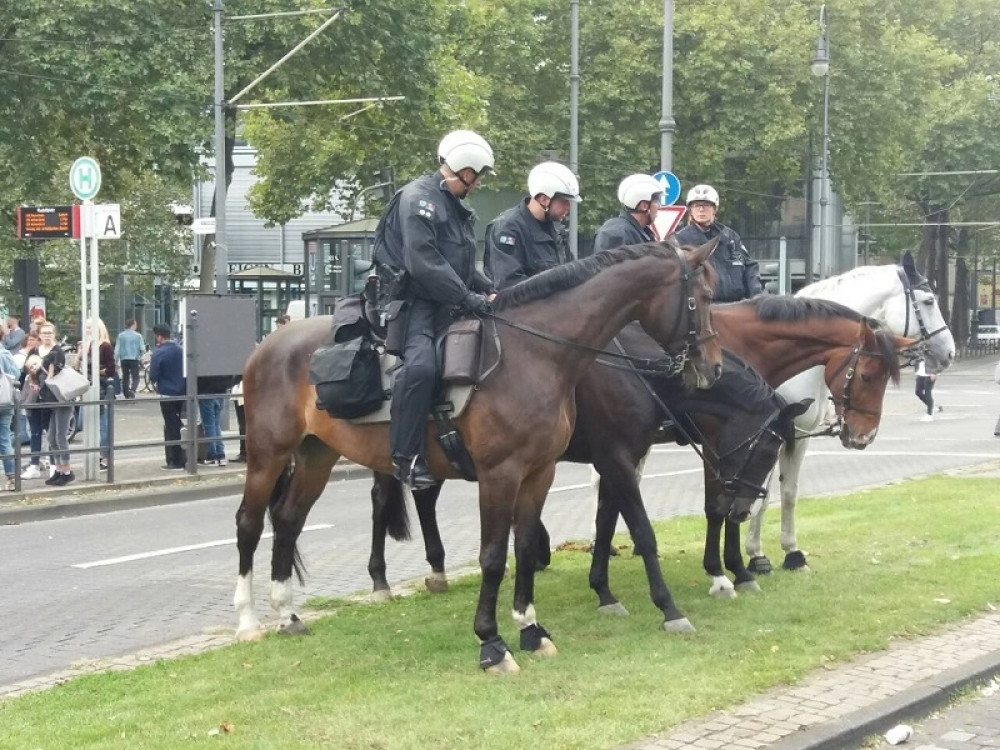 Uhapšeno oko 30 "delija"! (VIDEO)