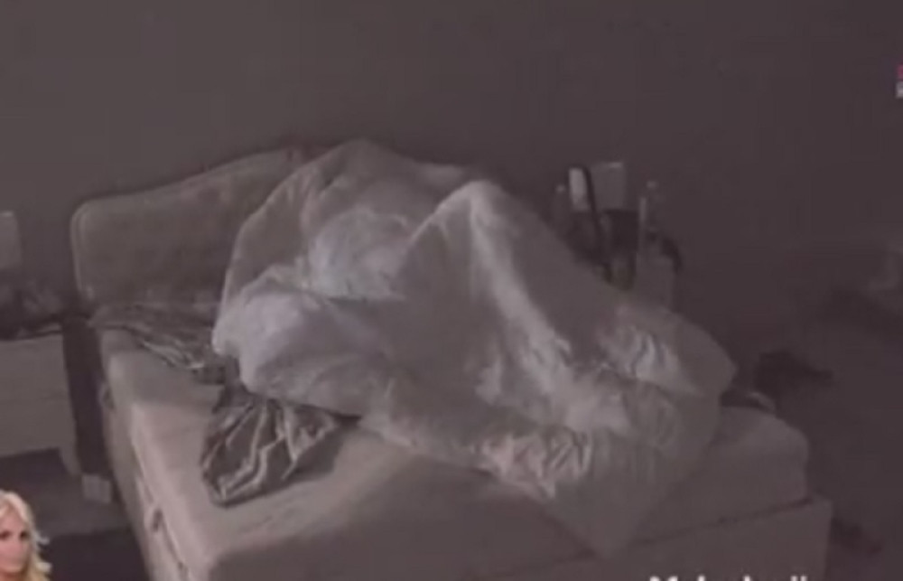 Zadrugari zatresli vilu žestokim seksom (18+)