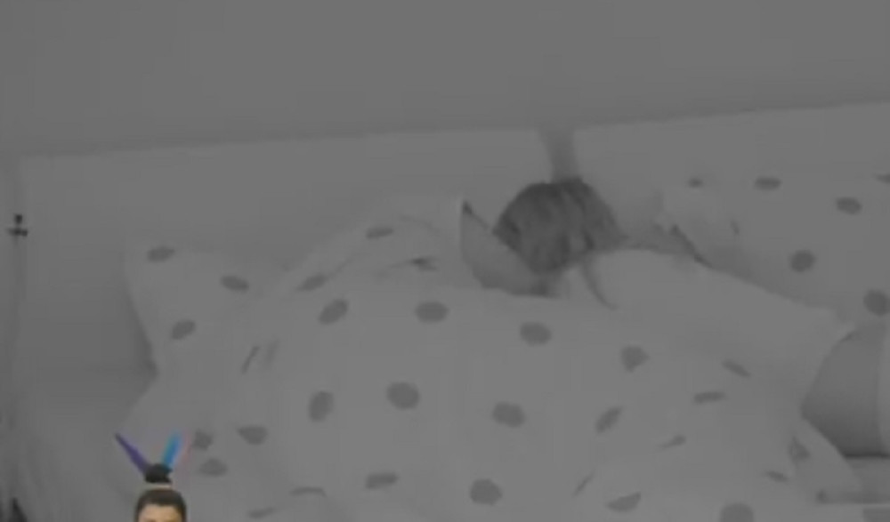 Maca i Bora nakon svega završili u krevetu! (VIDEO)