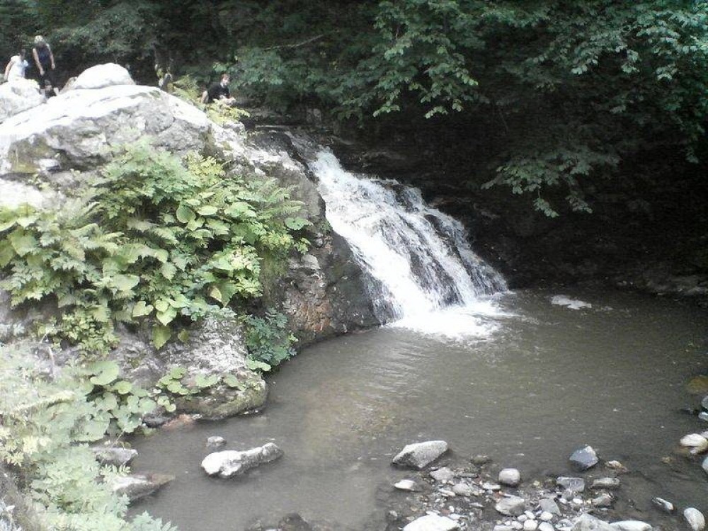 Kukuruzno brašno kao mogućnost zarade