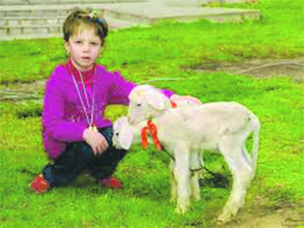 Nastavak suđenja lekarima za smrt malene Dijane (5)