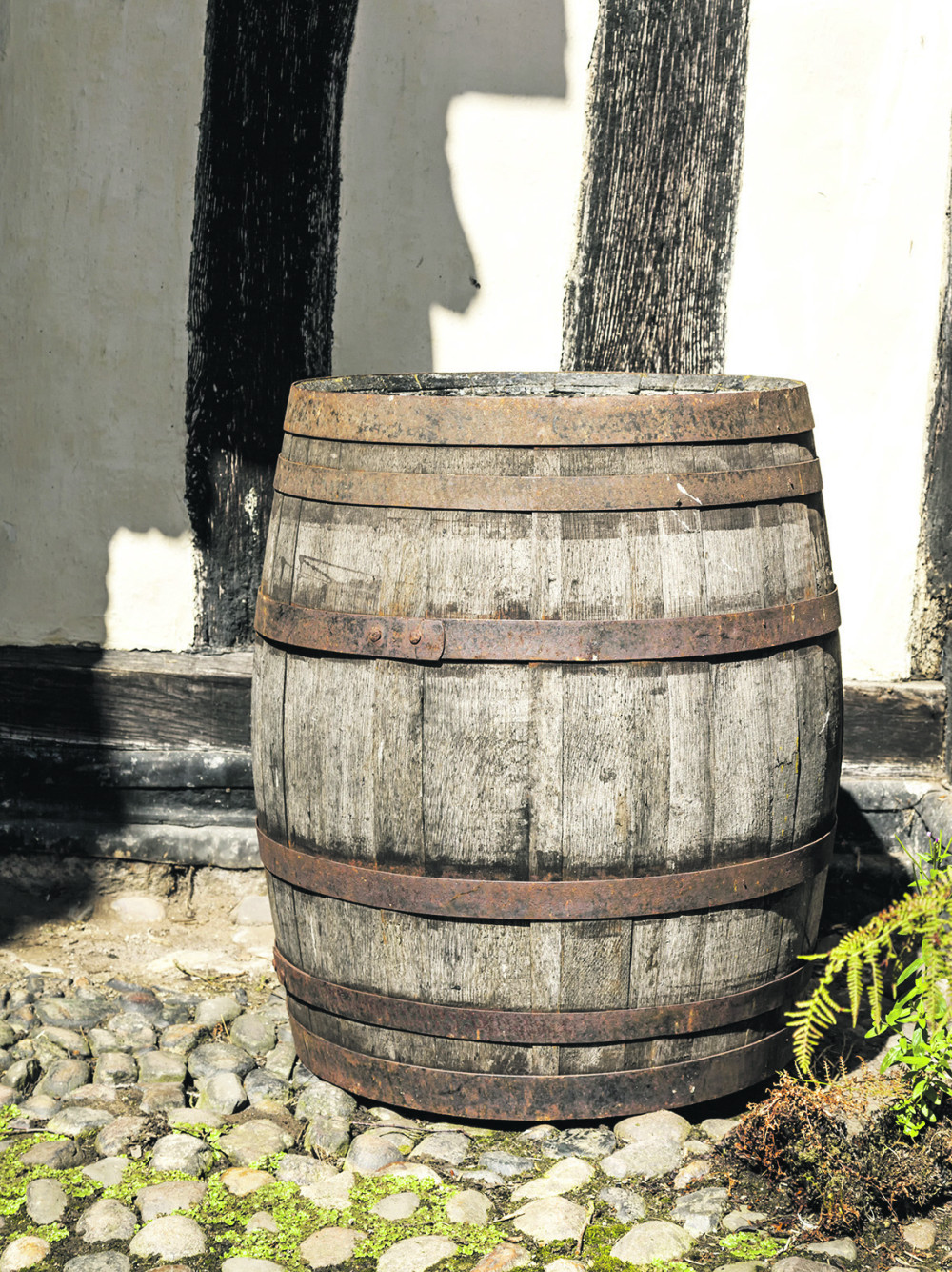 Dečak (3) umro naočigled braće i sestara