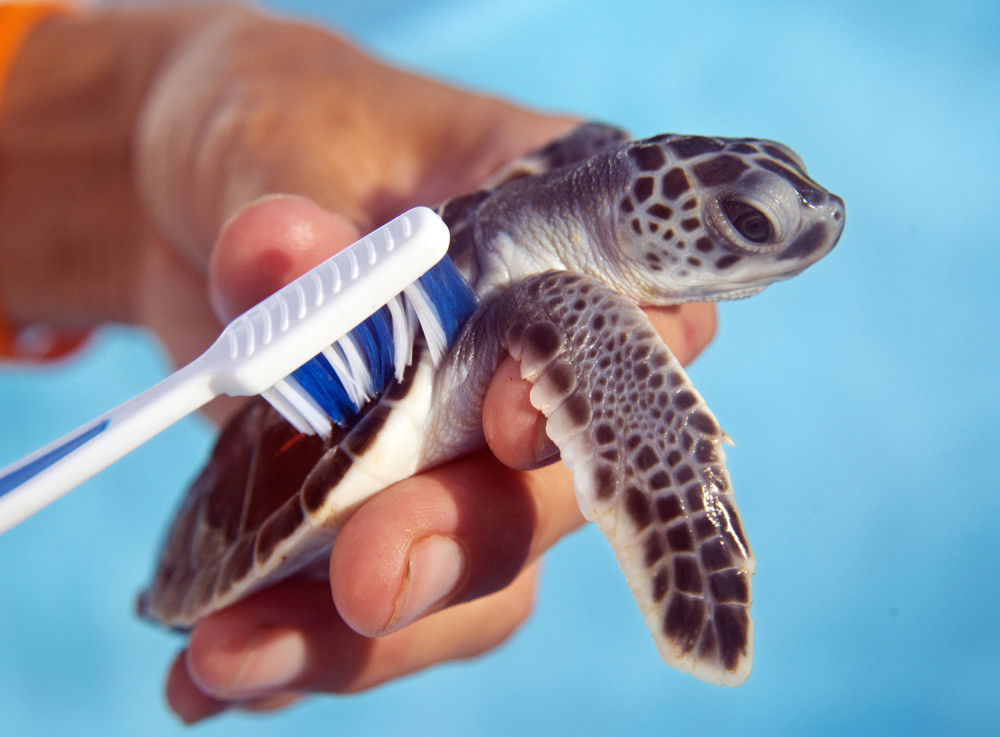 Alo! pogled na svet (GALERIJA)