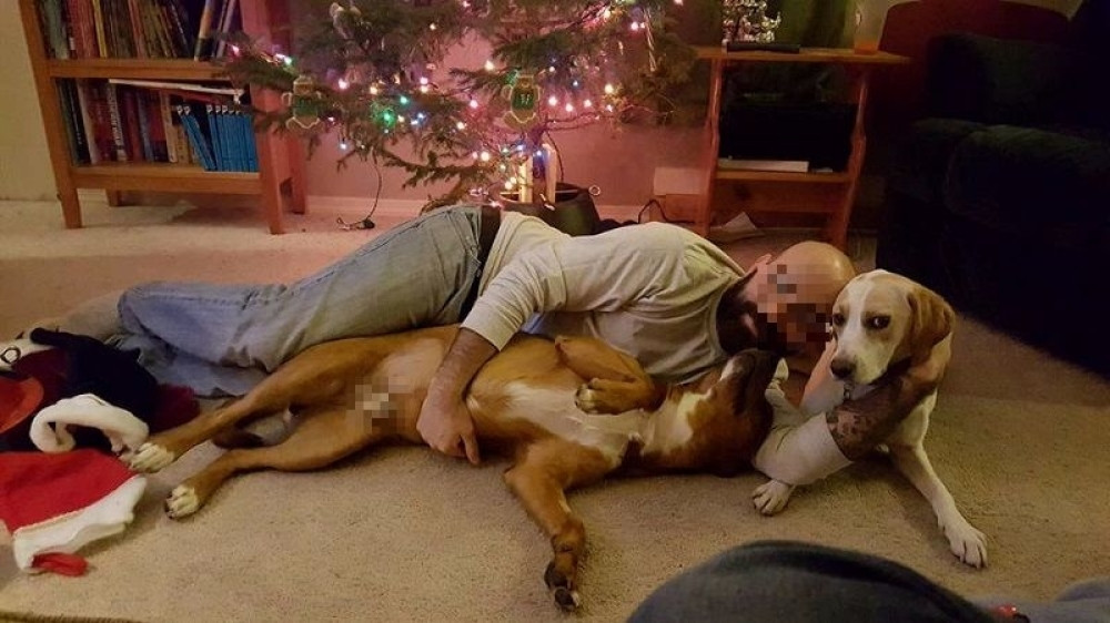 Turisti dolaze u Beograd da siluju pse!