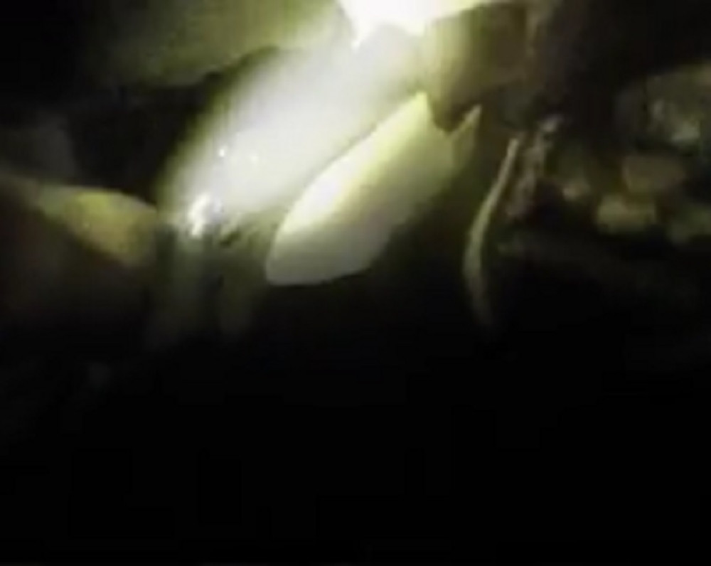 UZNEMIRUJUĆE~Mladić se uneredio usled policijskih elektrošokova (VIDEO)