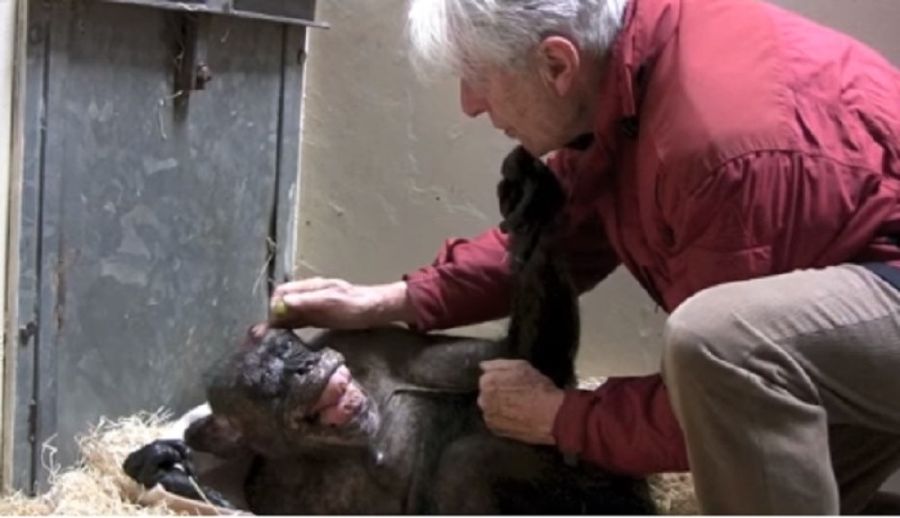 Na samrti je želela da vidi samo njega (VIDEO)