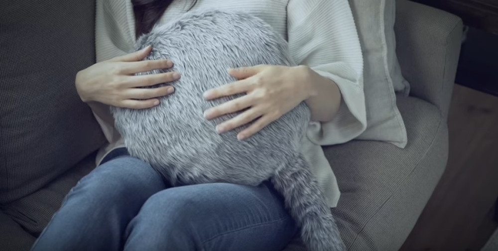 Mačka bez glave postala hit ljubimac!