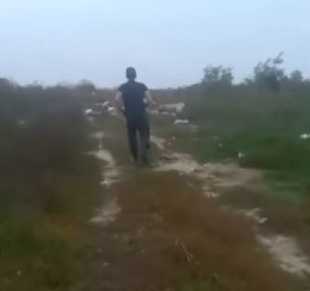 Psa vezali za leš raspale krave, on plakao