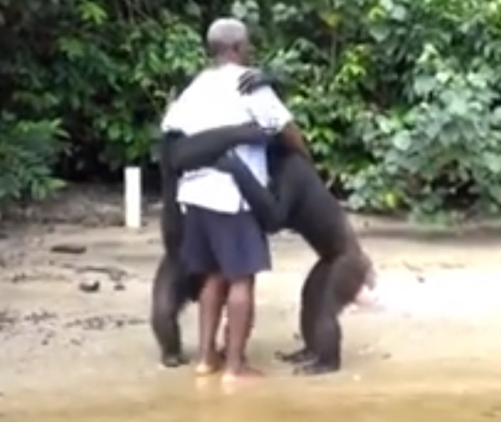 Kada vas životinja zavoli, onda je to prva ljubav! (VIDEO)