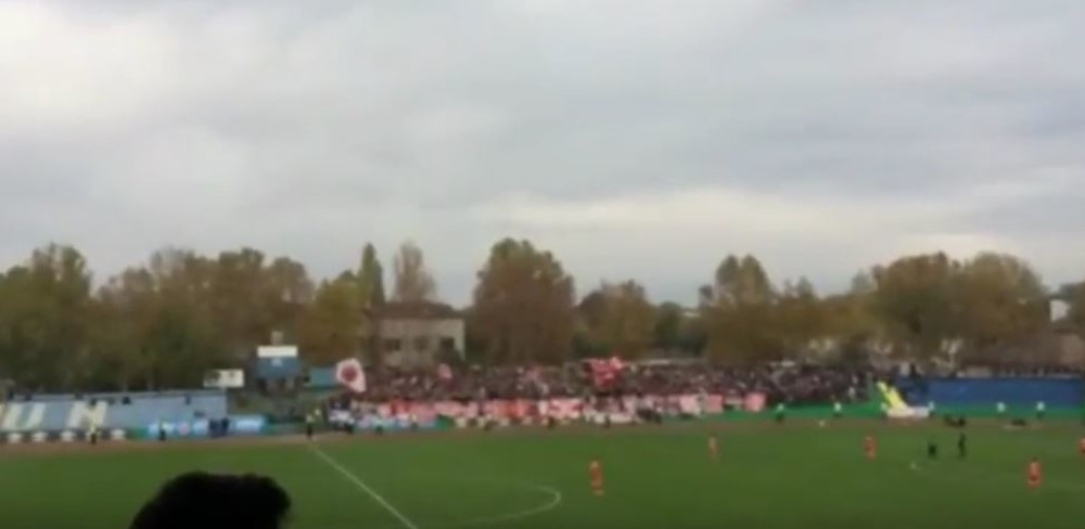 Navijači Zemuna i Zvezde zajedno navijali (VIDEO)