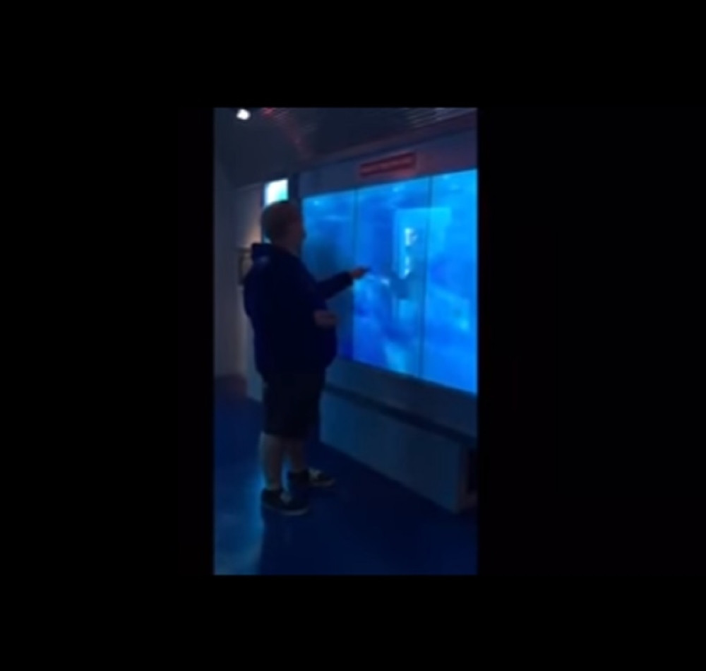 Provocirao ajkulu u akvarijumu, pa se preplašio na smrt!