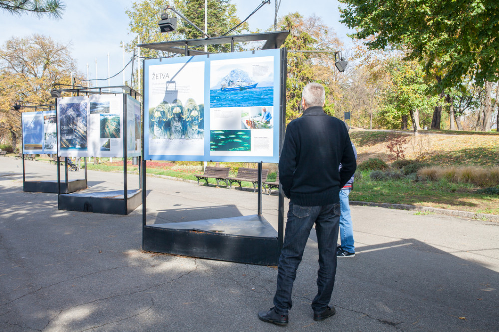 Izožba danskih fotografija na Kalemegdanu