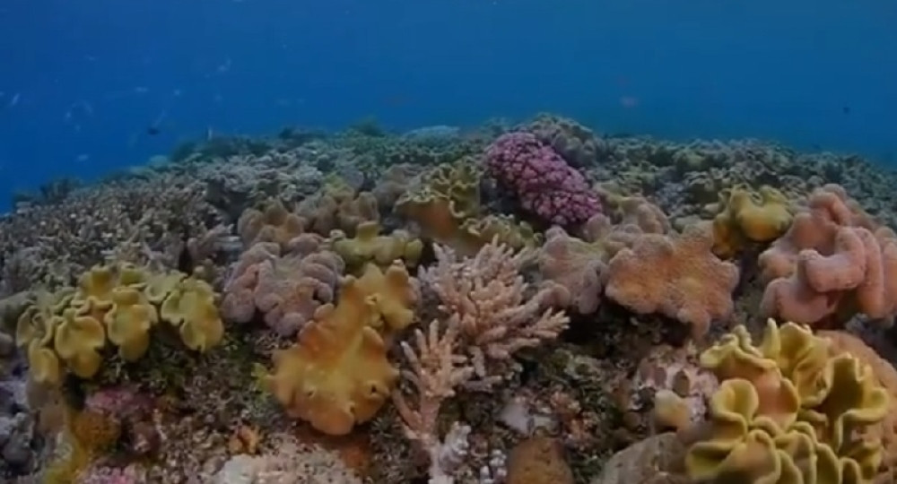 Evo šta se krije ispod Velikog kolarnog grebena (VIDEO)