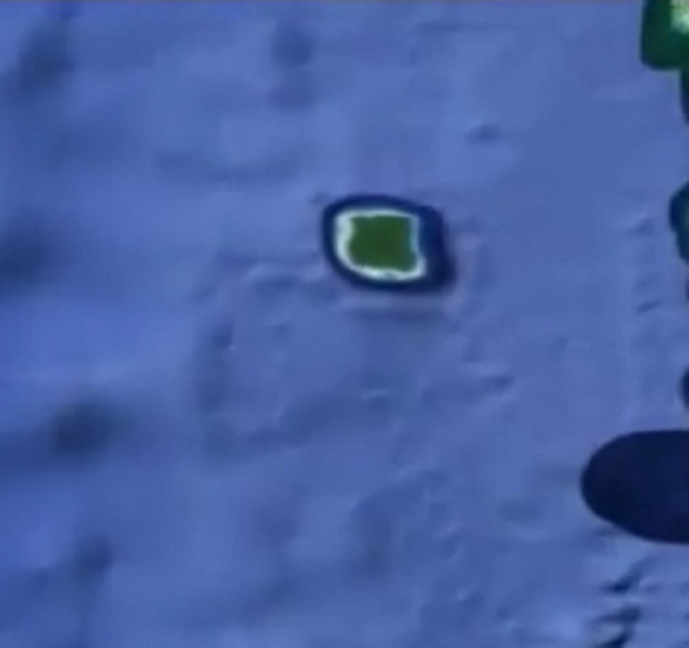 Sa ovog ostrva niko se nije vratio živ!