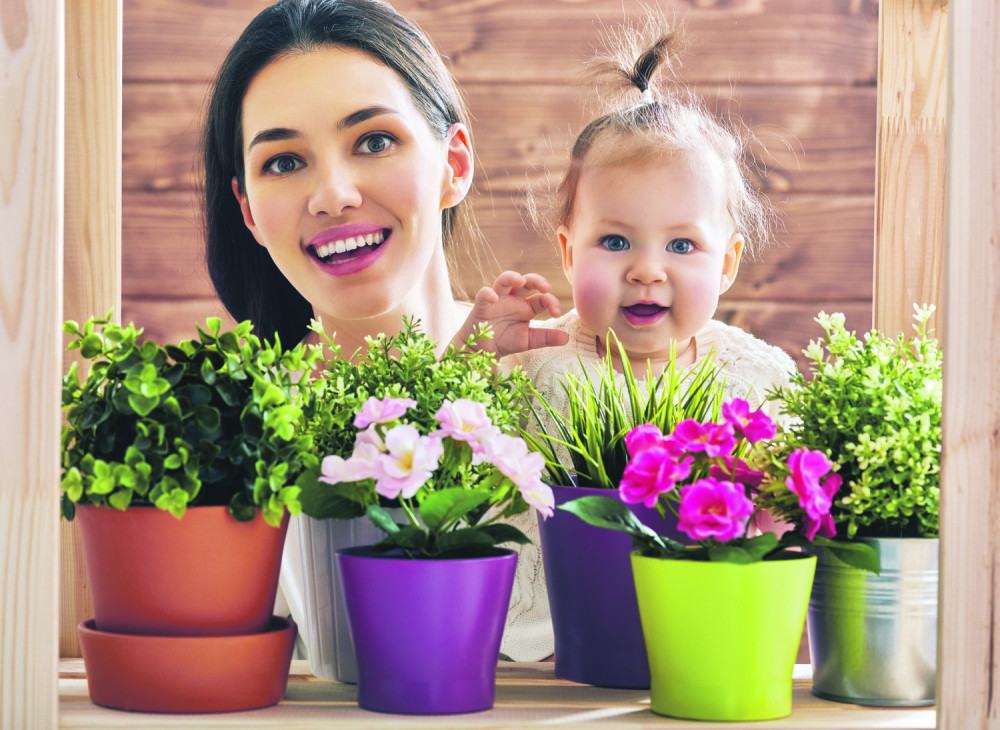 Evo kako da u bašti ili saksiji zasadite šargarepu