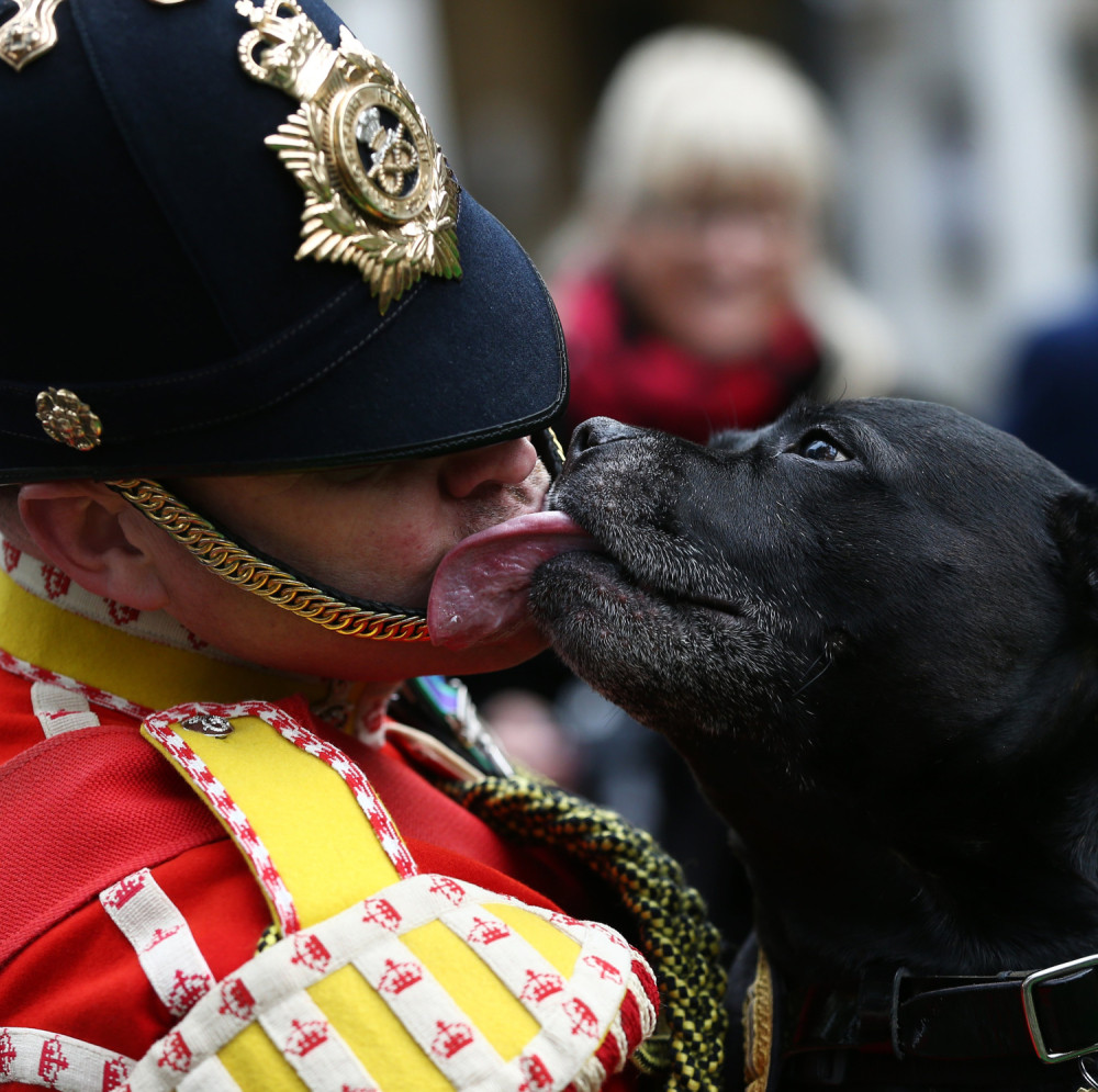 I ovog puta smo spremili nešto impresivno za vas