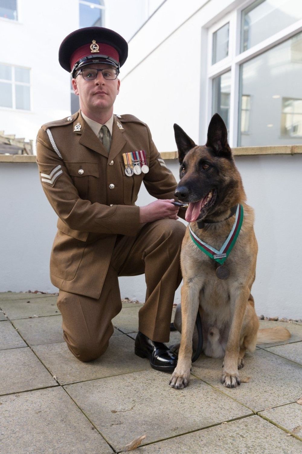 Pas nagrađen za hrabrost