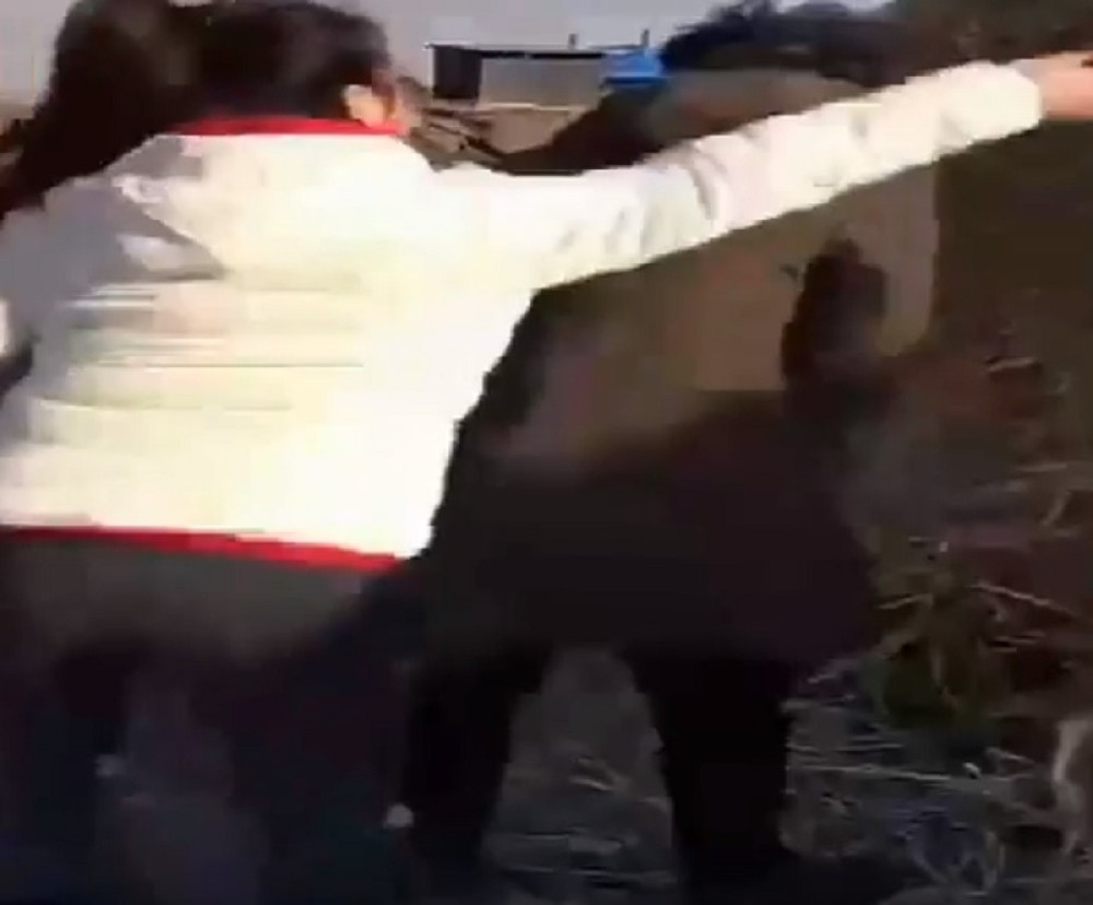 Pokušala da ga nasamari, a onda joj se desila najgora noćna mora!