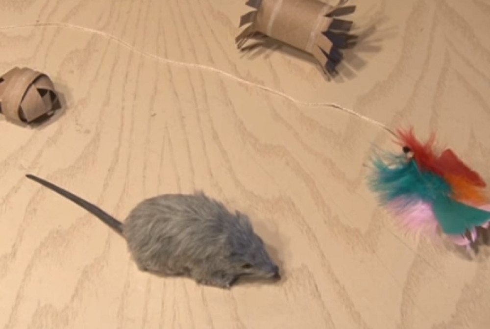 Napravite sami igračke za ljubimce