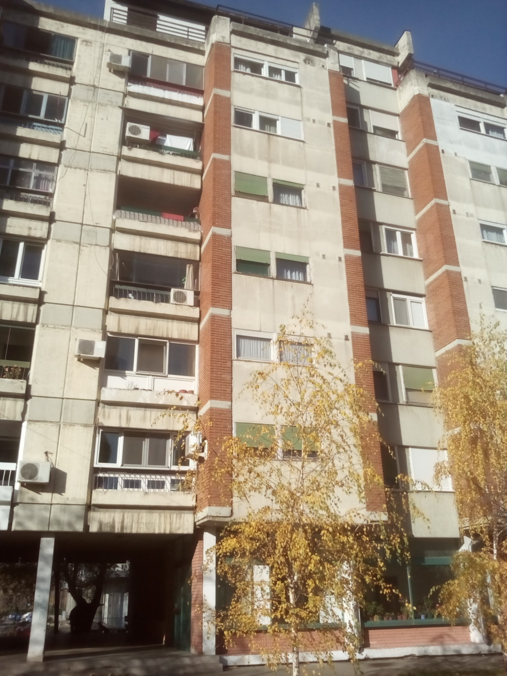 Biljana: Ne živimo zbog njenih krika, opsedaju je demoni, zgradu je poplavila nekoliko puta, a to sve mi plaćamo!