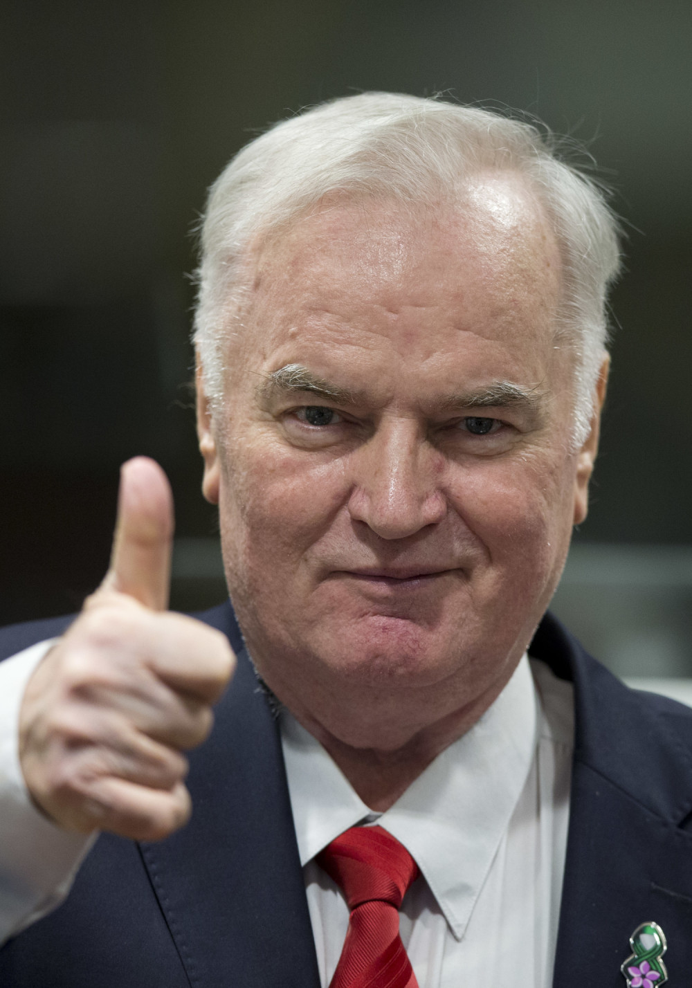 REČ JE O POVERLJIVOM DOKUMENTU! Ratko Mladić uskoro NA SLOBODI?!