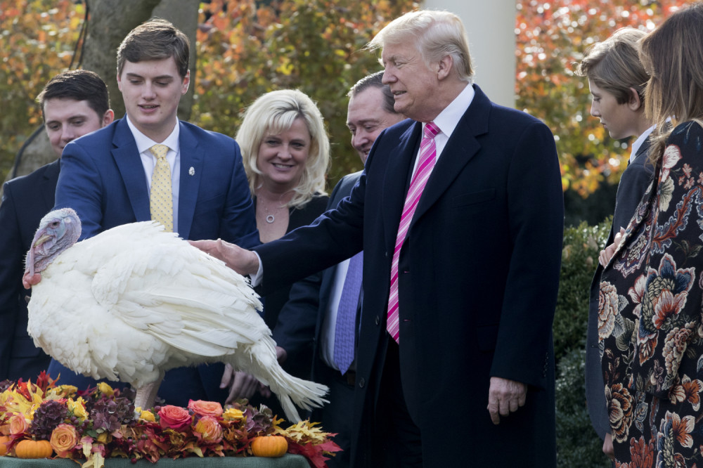 Tramp pomilovao ćurku