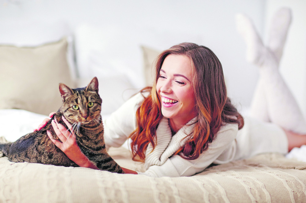 Ove zakonske propise mora da ispunjava vlasnik mačke: Nepoštovanje jedne obaveze kažnjava se i do 50.000 dinara!