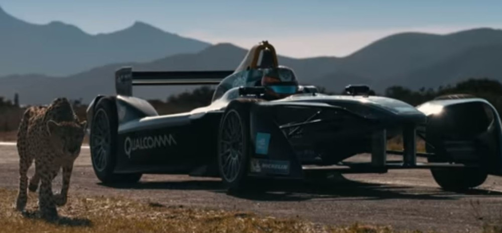 Gepard se trkao sa formulom!