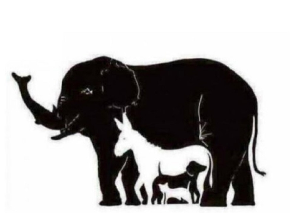 Ako na ovoj slici vidite devet životinja, vi ste genije