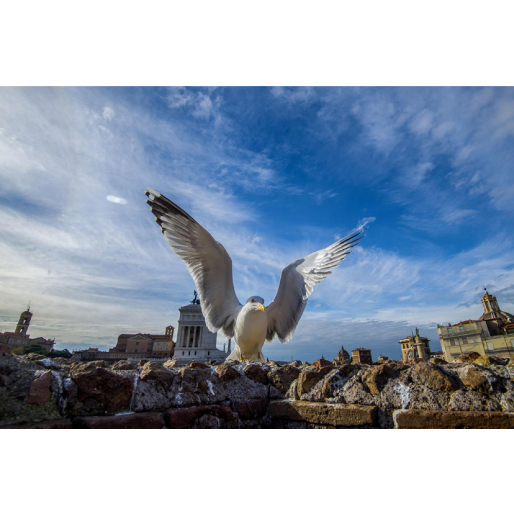 Ove fotke će vam ulepšati dan