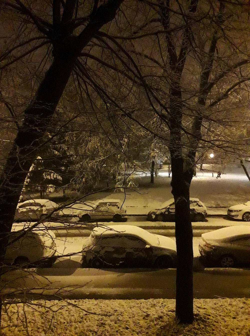 Danas je najmračniji dan u godini! Po narodnim verovanjima imamo razloga za strah