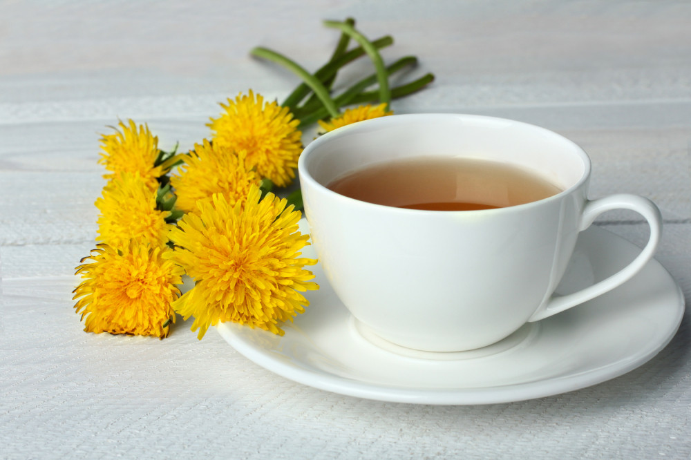 Napitak od maslačka koji će vas spasiti od najtežih bolesti!