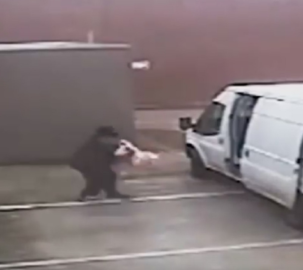 Ukrao lutku iz seks šopa, pa završio u zatvoru