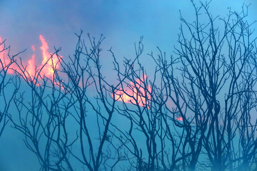 Požari uništili 1.000 kuća!