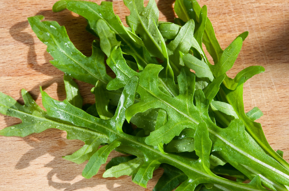 Zbog ovoga treba redovno da jedete rukolu!