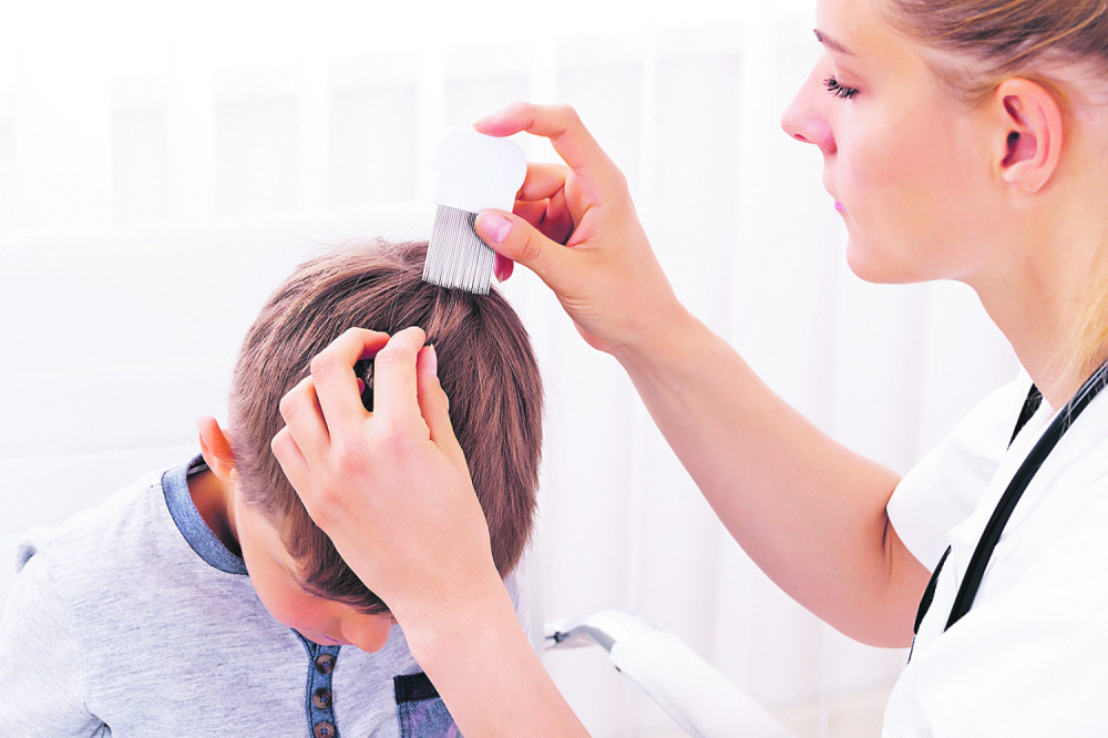 Gordana za 500 dinara profesionalno trebi vaške!