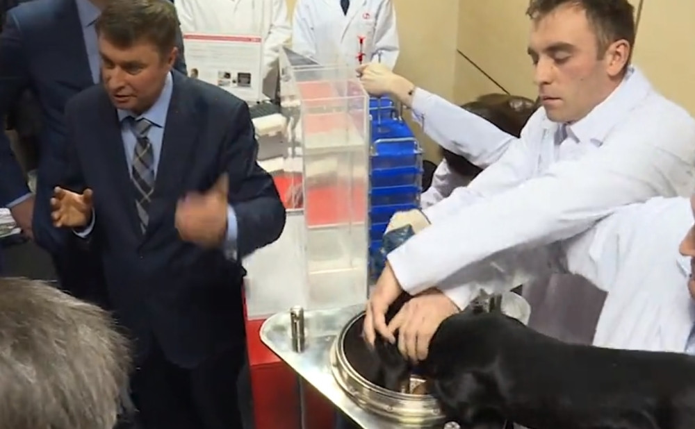 Nestao Vučićev "pas iz cevi"?!