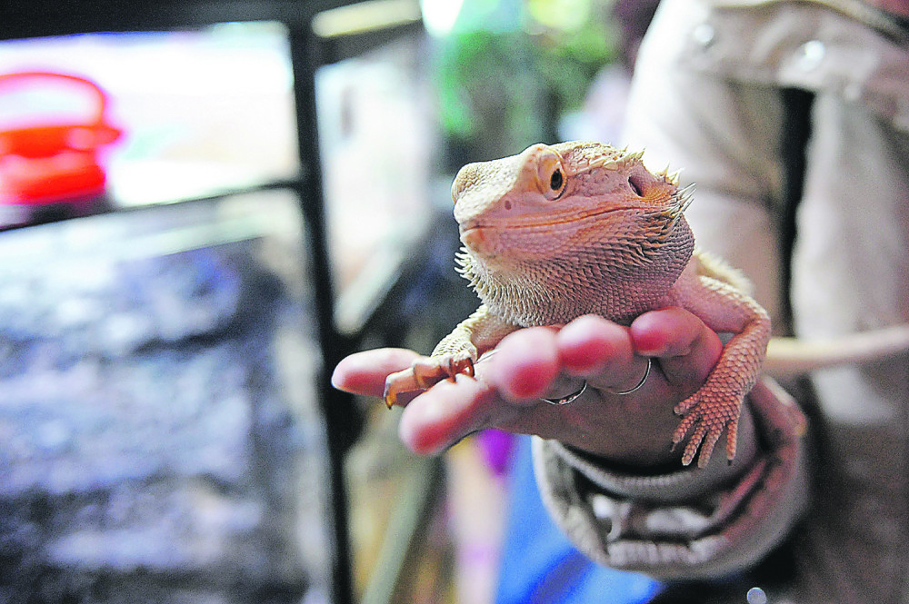 Čas biologije za posetioce