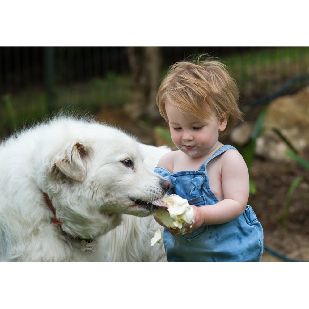 Misterija dalekih zemalja