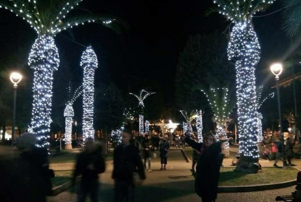 Gradske vlasti ukrasile palme umesto jelki, pa dobili džinovske svetleće penise!