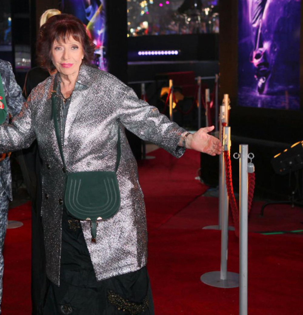 Žiža Stojanović imala burnu ljubavnu avanturu sa legendarnim pevačem: Isplivala istina stara nekoliko decenija!? (FOTO)