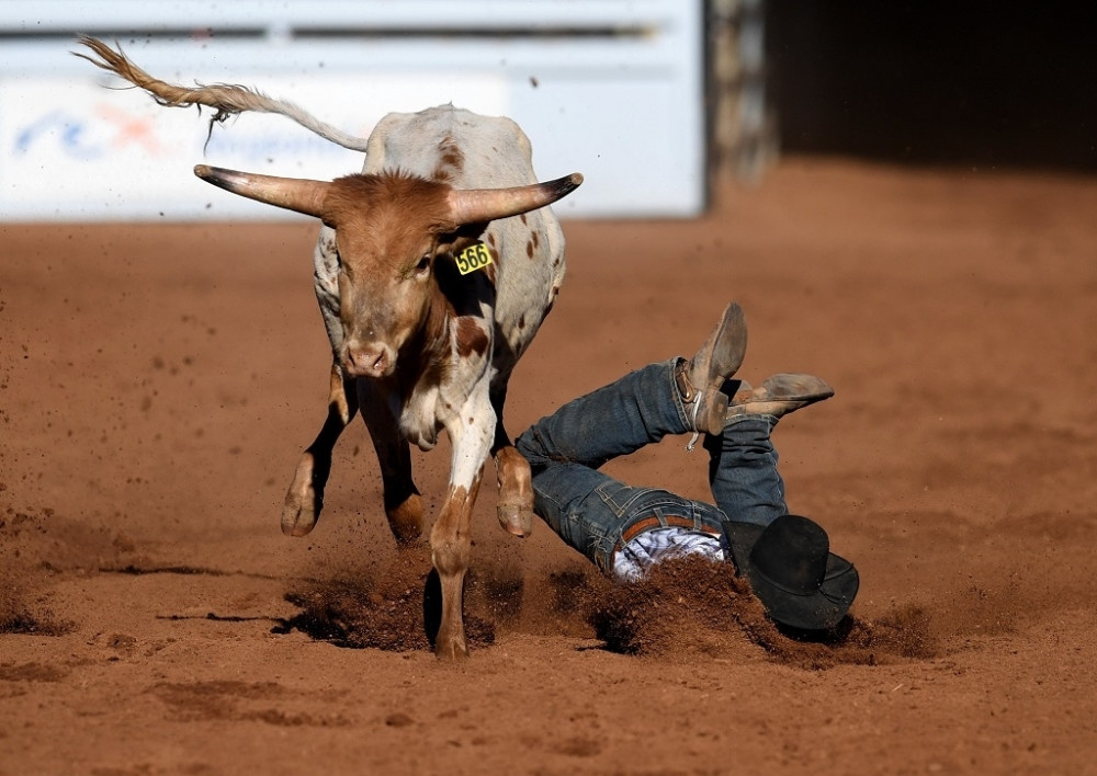 Ovo su najveće ubice ljudi u Americi