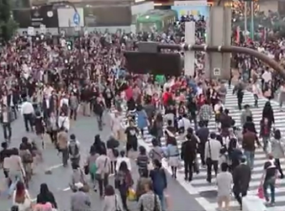 Kad se na ovom semaforu upali zeleno, nastaje ozbiljna gungula