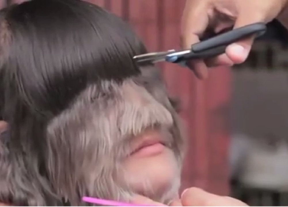 Najdlakavija žena na svetu obrijala dlake, evo kako izgleda