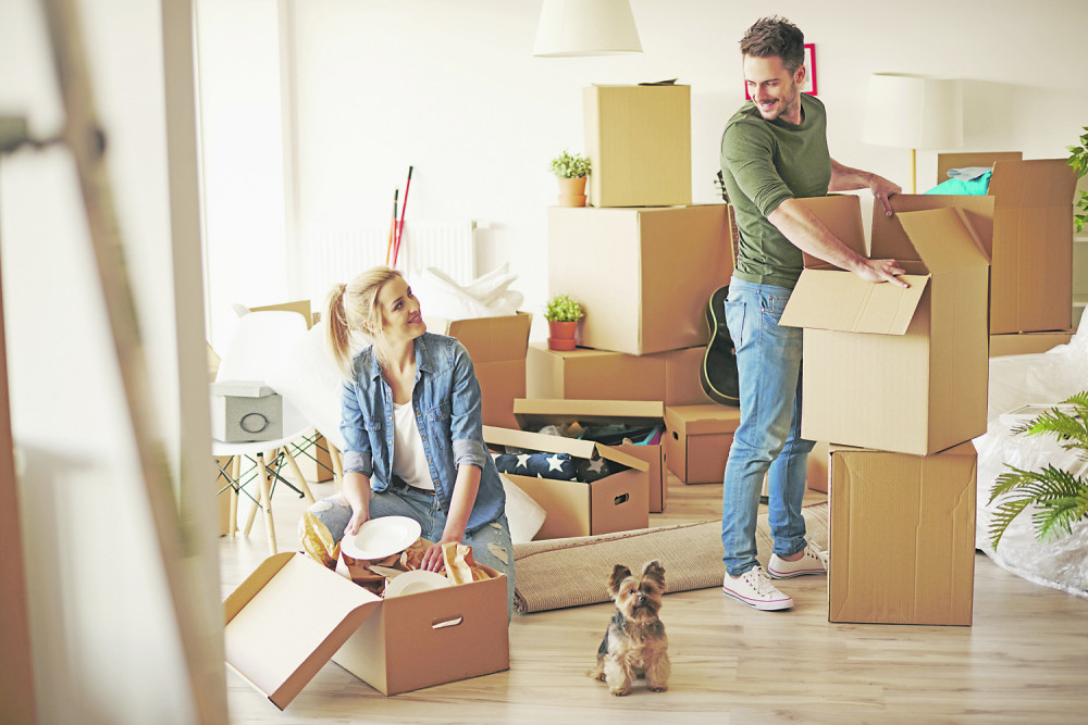 Više vole pse nego decu!