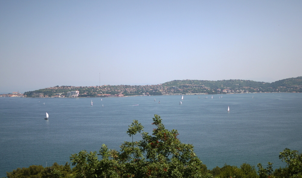 Slovencima stigle nove kazne, ribarenje skupo košta!