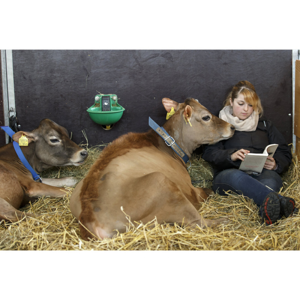 I krave čitaju knjige!