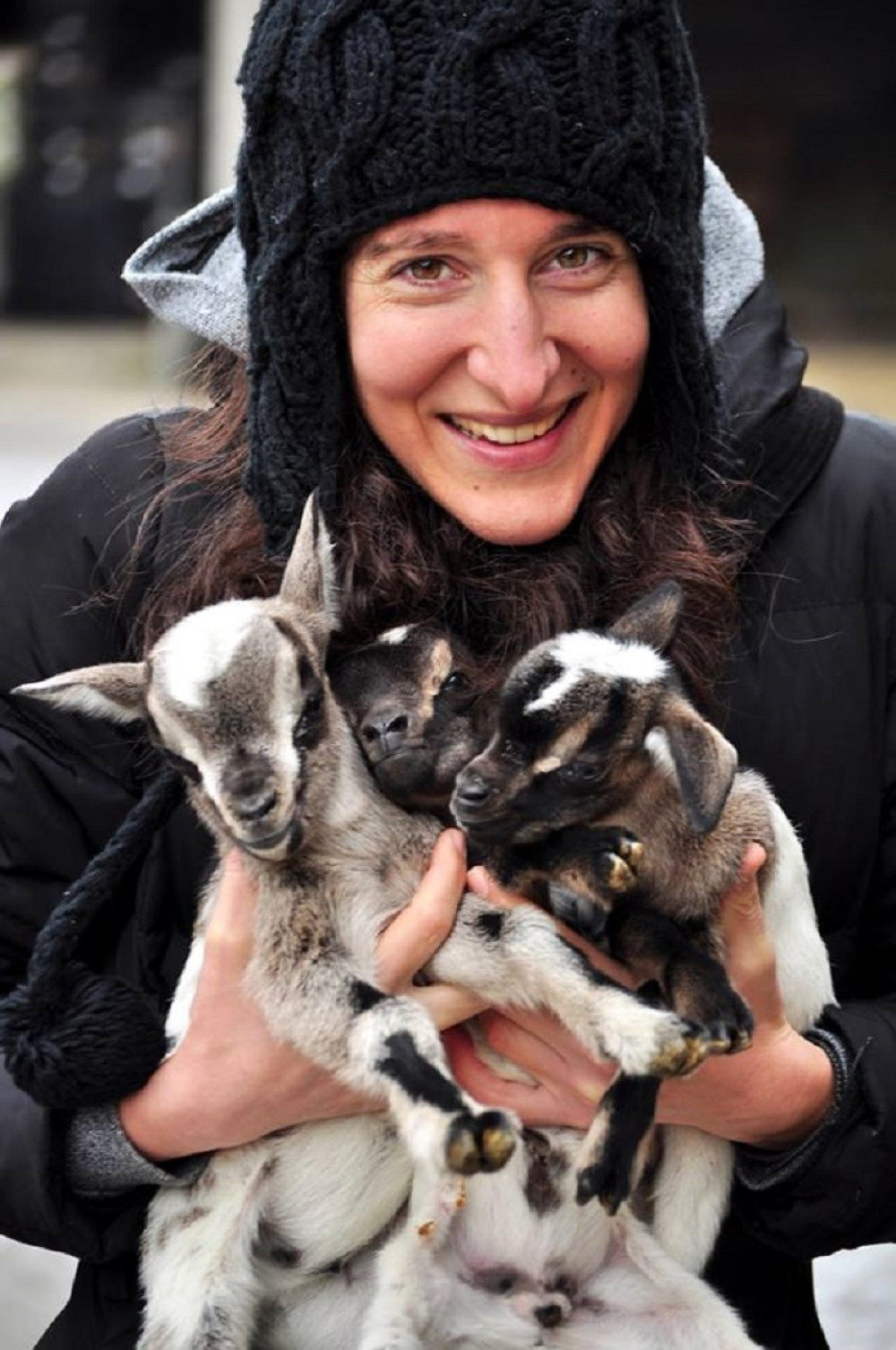 Ove bebe obogatile su beogradski zoo vrt!