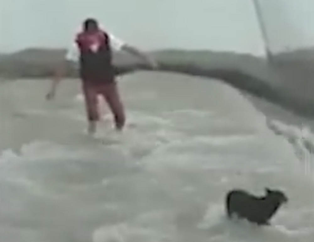 Nećete verovati šta su ovi ljudi uradili da bi spasli psa!