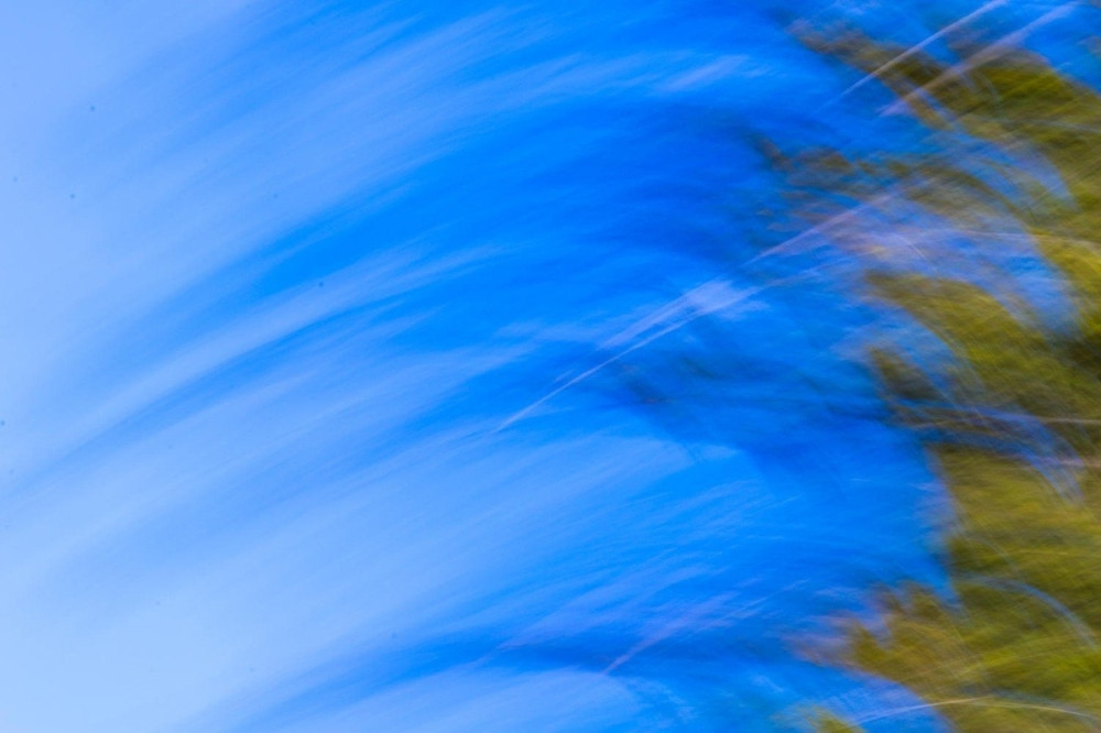 U Srbiji sutra olujni vetar, evo gde će biti najjači!